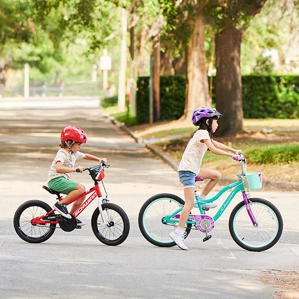 Learning to Ride image